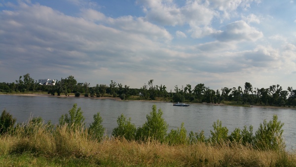 2015-06-15 18.48.36.jpg